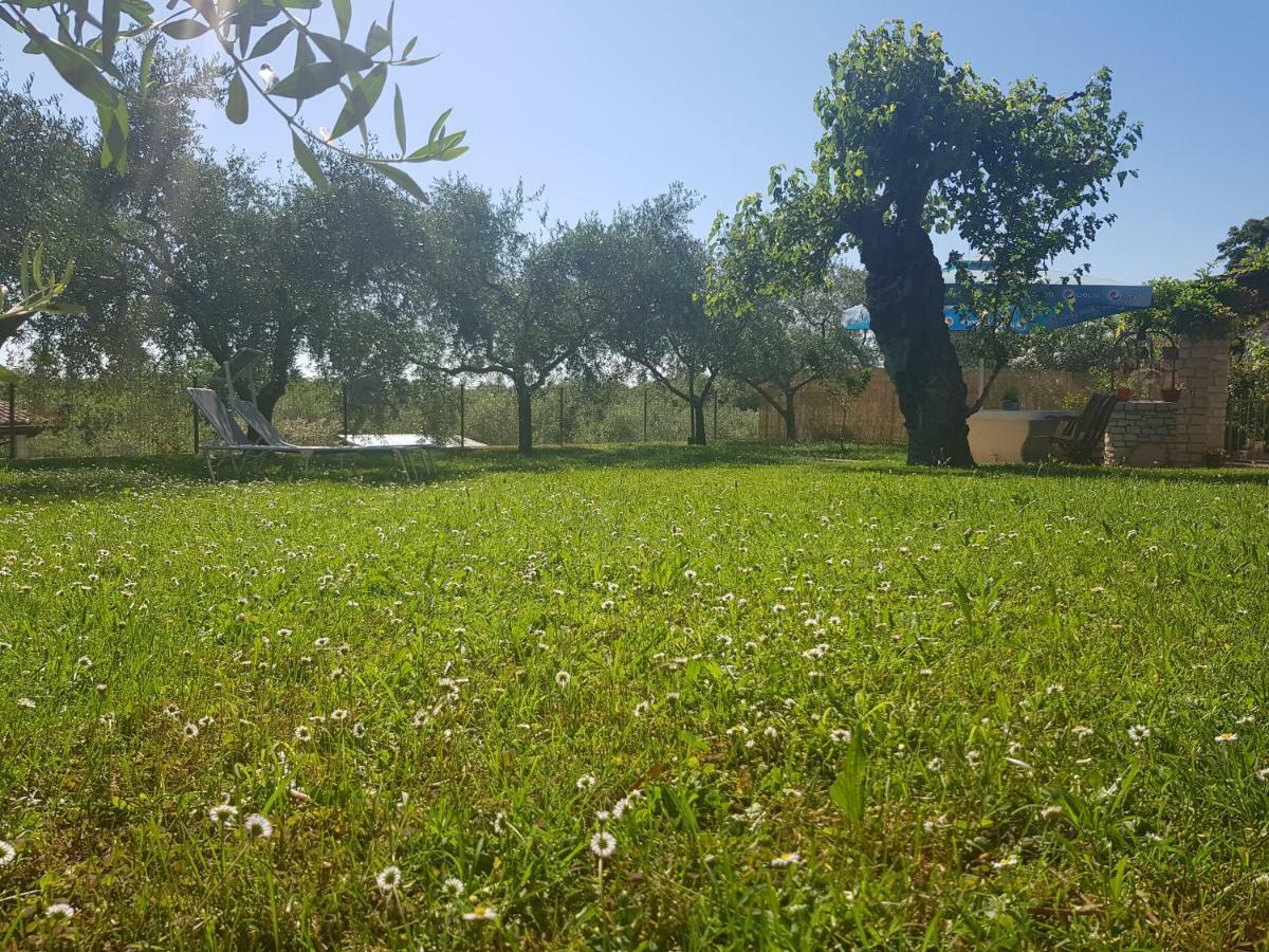 Villa Casa Istria à Buje Extérieur photo